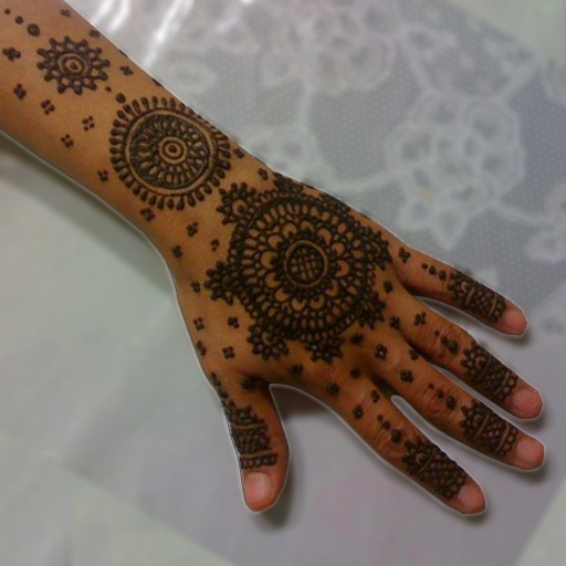 Indian Wedding henna- Henna designs by Sanober at Dallas